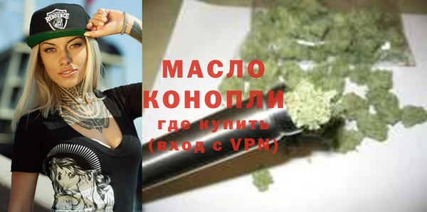 гидра Каменка