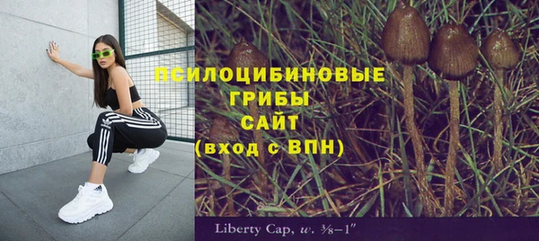 молекула духа Аркадак