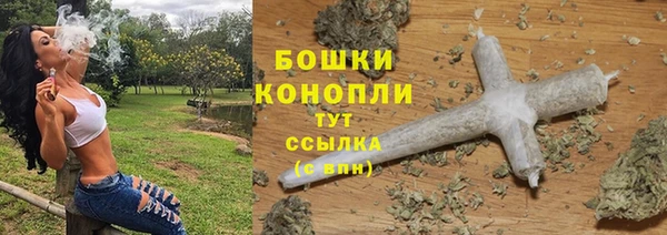 молекула духа Аркадак